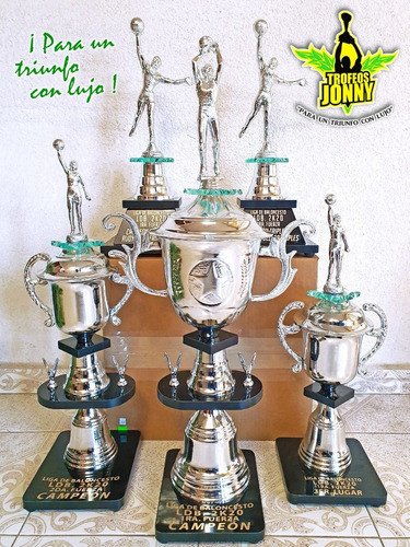 Trofeos De Básquetbol 