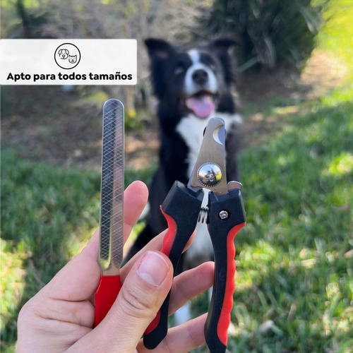Cortador De Uñas Con Lima Para Perros O Gatos