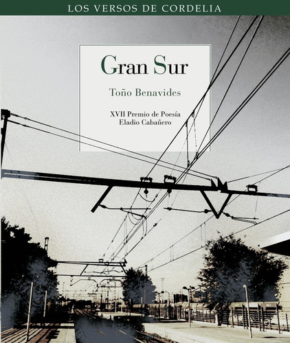 Libro - Gran Sur 