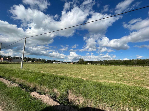 Imagen 3 de 13 de Líquido!!! Lote De Terreno En Venta De 1250 M2 En San Miguel Del Monte