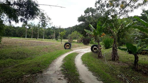 Imagem 14 de 15 de Sítio / Chácara Para Venda Em Paranaguá, Zona Rural, 6 Dormitórios, 3 Banheiros, 1 Vaga - 57_2-1158859