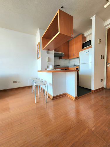 Arriendo Bellas Artes Con Ggcc Incluidos (79580)