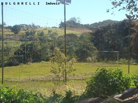 Imagem 4 de 9 de Galpao - Gl00068 - 2257300