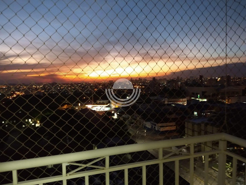 Imagem 5 de 25 de Apartamento À Venda Em Vila Joao Jorge - Ap006698