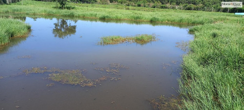 Imagem 13 de 15 de Chácara Para Venda Em São José Dos Pinhais, Agaraú - Cha2202_1-2421184