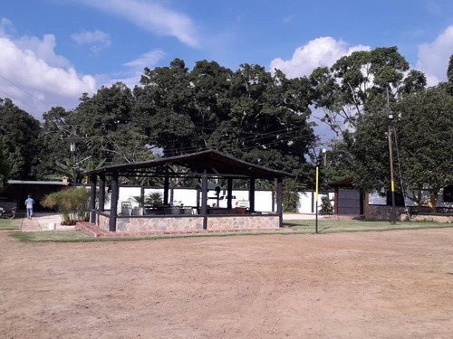 Imagen 8 de 30 de Finca En Bejuma Reyes Arriba