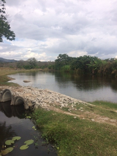Imagem 2 de 20 de Ótimo Para Empreendedorismo, Fazenda 16 Hec, Rio E 2 Açudes Perene, Agrestina - Fa00007 - 68991513