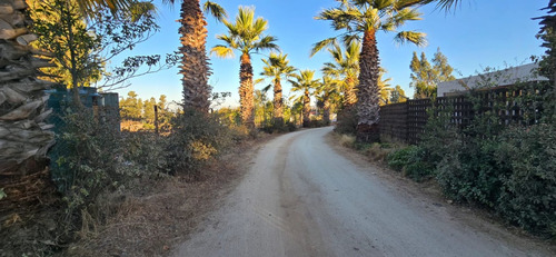 Callejón Las Gaviotas, A 7k De Rotonda Concón