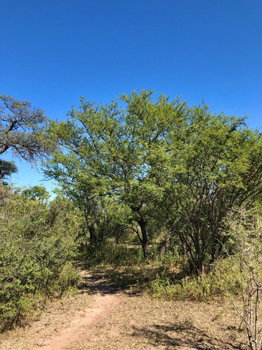 Imagen 6 de 24 de Lotes Con Escritura Desde 1556 M2 A 2365 M2 / Villa De Las Rosas - Traslasierra
