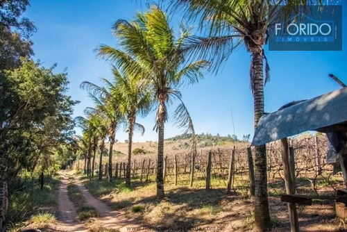 Imagem 11 de 11 de Chácara Para Venda Em Atibaia, Pedreira, 4 Dormitórios, 2 Banheiros, 10 Vagas - 5897_2-1602035