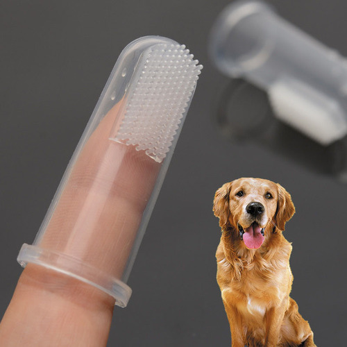 Juego X De Cepillos De Dientes Para Perros Con Caja, Cepillo