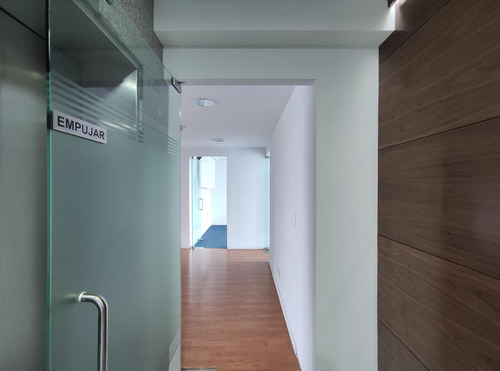 Oficina En Renta -reforma Piso 10- 214 M2