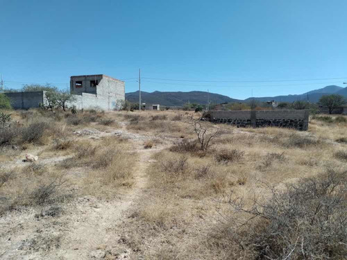 Imagen 8 de 9 de Terreno Campestre Tequisquiapan Querétaro Estación Bernal