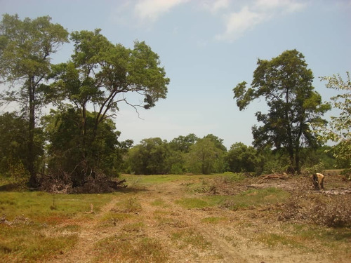 Imagen 9 de 10 de Se Vende Terreno A Orilla De Carretera En Boca De Aroa