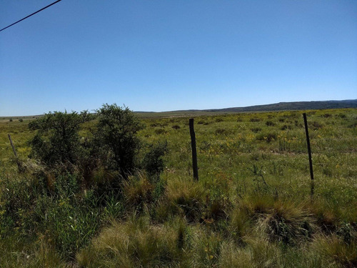Venta O Alquiler Terrenos Hectareas
