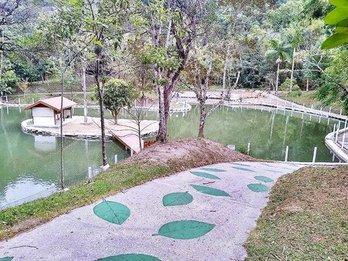 Imagem 2 de 24 de Bosque Das Mansões, Realize Seu Sonho . - Ca0056