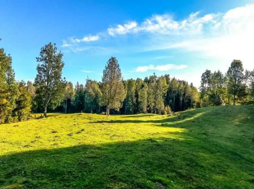 Queilen, 2,8 Ha, Apeche Bajo (121069)