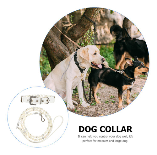 Juego De 2 Piezas De Collar De Seguridad Ajustable Y Correa