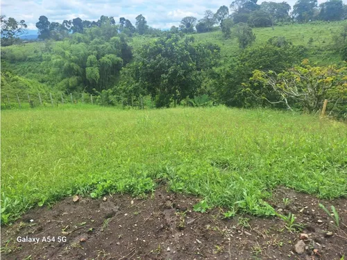 Venta Lote En Quimbaya. Quindio - Colombia Cod: 7970490