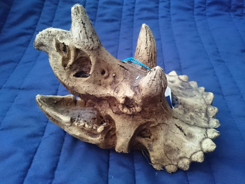Adorno Acuario Resina Cráneo Triceratops