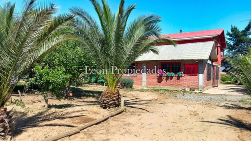 Leon Propiedades Vende Casa En Sitio En Sector Lo Águila.