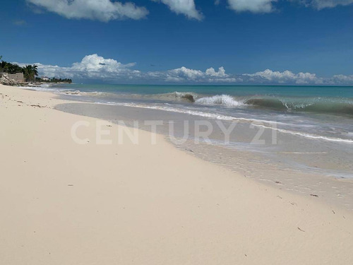 Imagen 7 de 13 de Terreno Frente Al Mar En Venta En Cancún Em0722