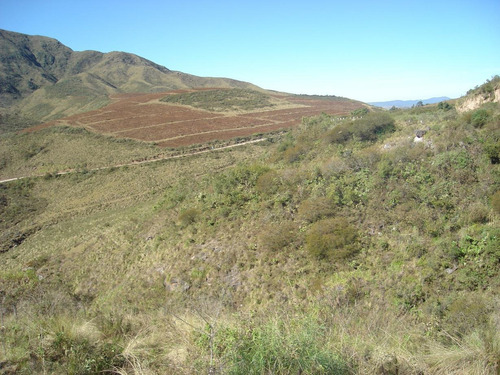 Imagen 3 de 7 de Hermoso Campo En Balcosna Catamarca