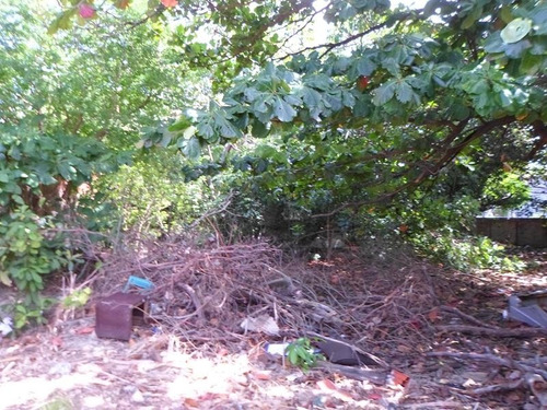 Imagem 8 de 8 de Terreno Para Alugar Na Cidade De Fortaleza-ce - L13770