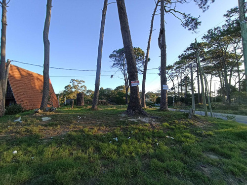 Se Vende Terreno En La Paloma Rocha 600 M2 Buena Ubicacion