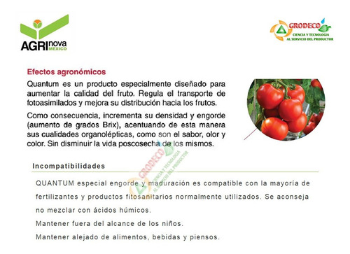 Quantum 1 Kg Fertilizante Maduracion Y Engorde Frutas