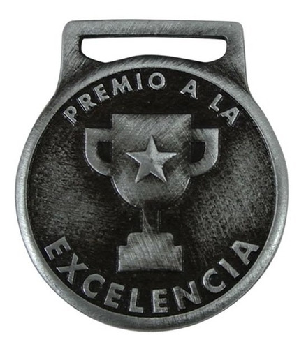 Medalla De Excelencia Redonda 3cm Foto Al Reverso