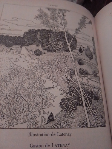 Libro Ilustraciones 1800-1914