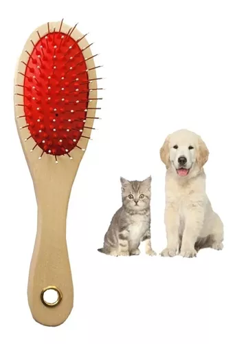 Pet Shop Kit Elásticos Acessórios Laços Para Banho E Tosa