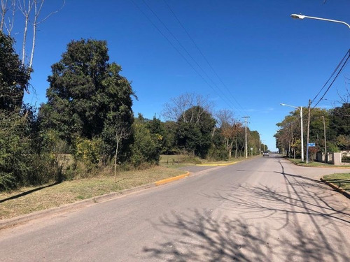 Imagen 7 de 8 de Lote 25 Villa Chicha