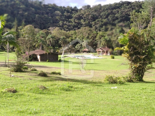 Imagem 13 de 30 de Excelente Sitio Com Topografia Plana, Rico Em Aguá - 12 - 69839868