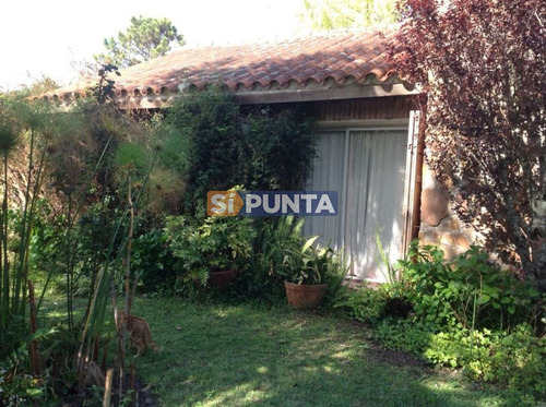 Imagen 2 de 11 de Casa En Punta Del Este, Pinares