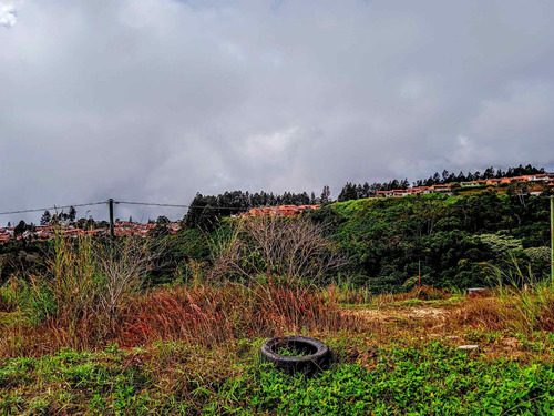 Imagen 6 de 9 de Terreno De 373 M2 En Conj Res Los Leones Llano Alto Carrizal