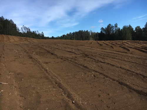 Agrícola En Venta En Gorbea