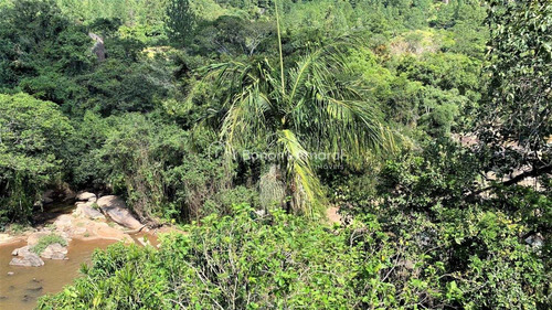 Imagem 29 de 30 de Chácara À Venda Em Joaquim Egídio - Ch016424