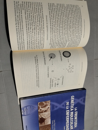Libros (Usado)