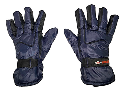 Guantes Alpine Skate Abrigo Puño Invierno Moto 16890 Azul