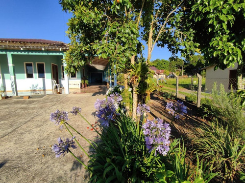 Imagem 8 de 15 de Casa Para Venda Em Piên, Trigolândia, 3 Dormitórios, 2 Banheiros, 10 Vagas - Pie2200_1-2209259