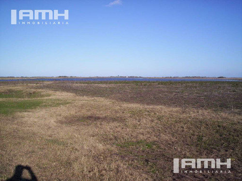 Campo - General Madariaga Campo En Venta 90 Hectáreas Gral Madariaga