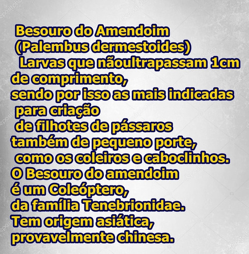 Imagem 3 de 10 de Besouro Do Amendoim 50 Unidades (start) Frete Grátis