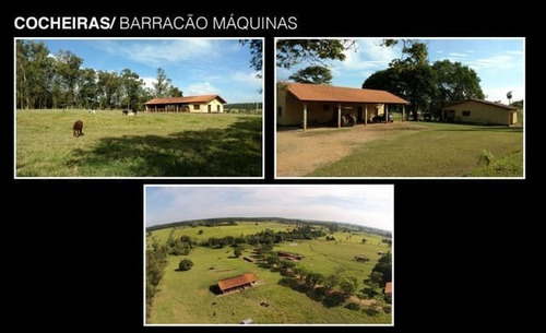 Imagem 7 de 22 de Fazenda 80 Alqueires, Rica Em Água Com Riacho, Aproveitamento De 85% Para Plantio, Estruturada Para Pecuária, Casa Sede E Funcionarios, Curral, Galpão - Fa00248 - 70737151