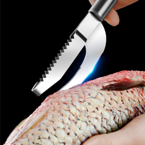 Rallador De Escamas De Pescado Multifuncional De Acero Inoxi