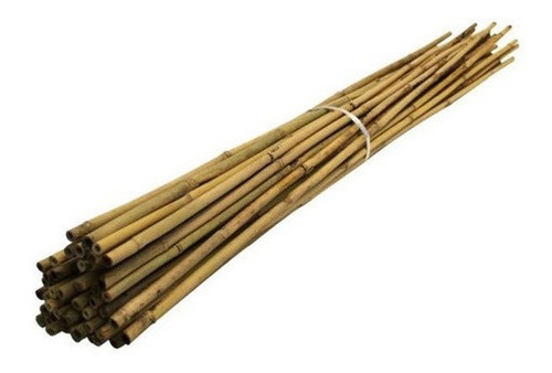 Estacas Tutor De Bambu Natural Tratado - 5 Peças De 100 Cm
