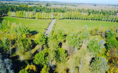 Imagen 12 de 13 de Lote | Ruta Nacional Nº 8