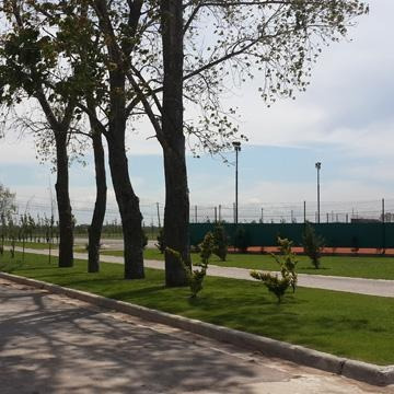 Terreno - Lagos De San Eliseo