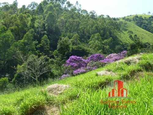 Imagem 27 de 30 de Sítio Sítio À Venda Em Taubaté/sp - 1386